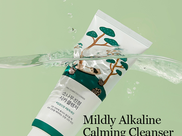 Round Lab Pine Cica Cleanser